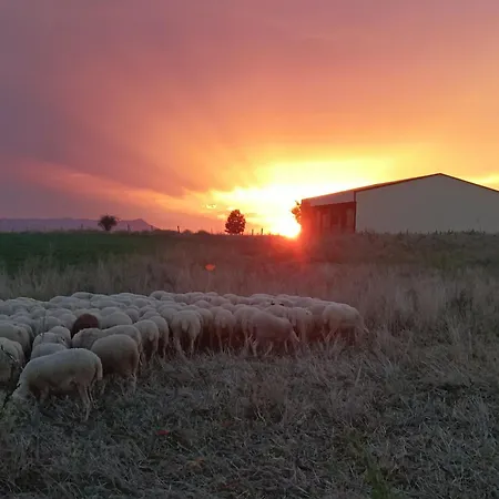 Lagar De Palacio * Santa Cilia de Jaca