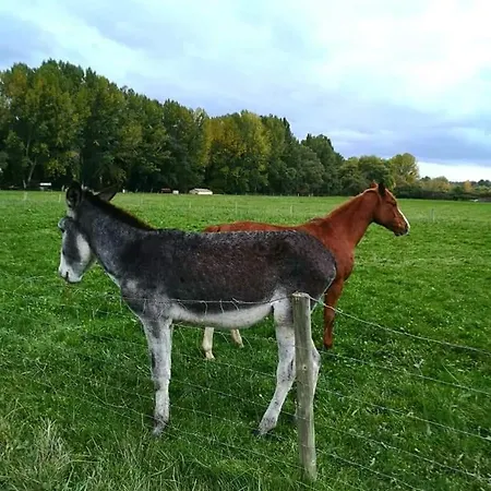 Lagar De Palacio Dom wakacyjny